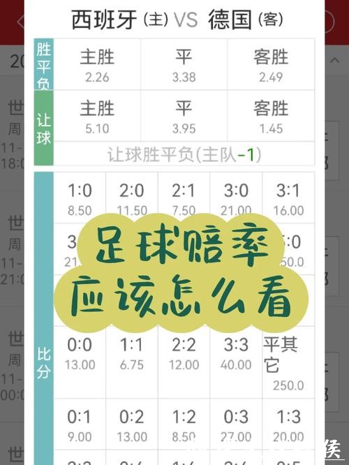世界杯下注赔率解析，看懂数字玩法